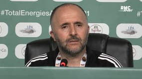 CAN 2022 : "Vous êtes journaliste, pas météorologue", la séquence lunaire entre Belmadi et un journaliste