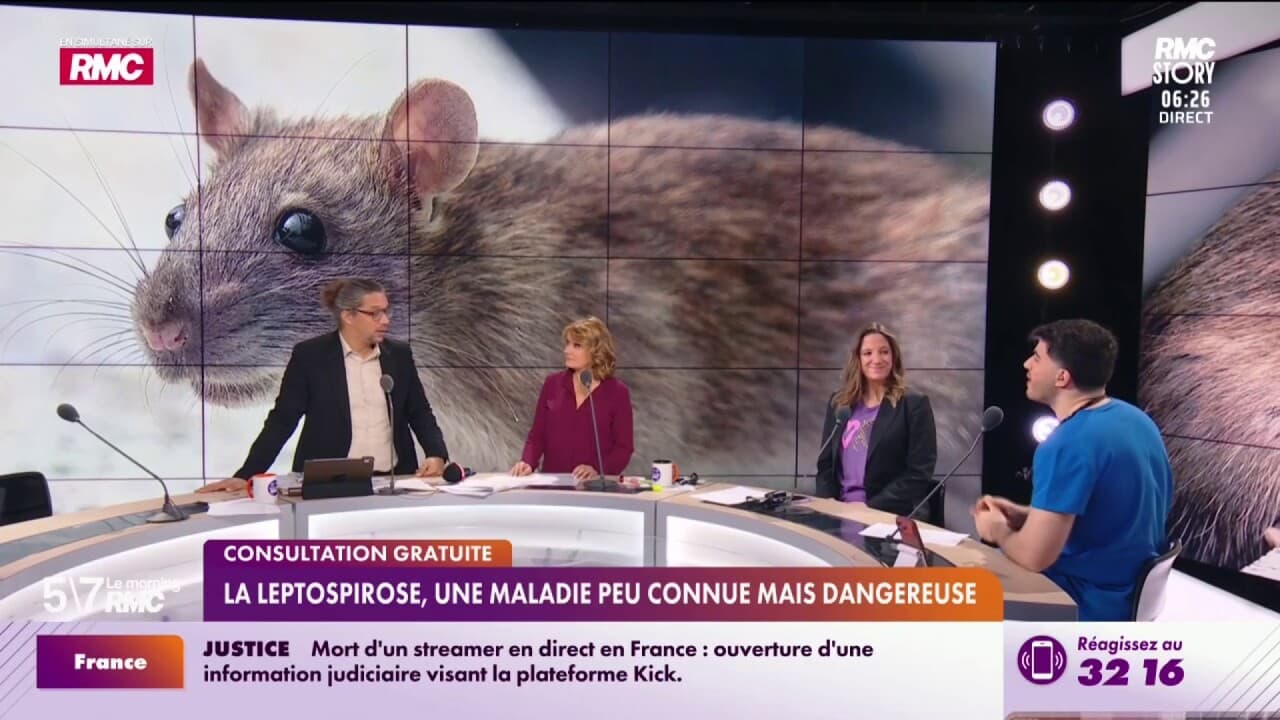 RMC Santé - La leptospirose, une maladie peu connue mais dangereuse