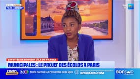 Municipales: "C'est une anomalie que Paris ne soit pas encore une ville écologiste"