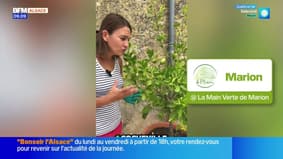 Jardinage & Flûte enchantée - La météo de Colas du mardi 30 septembre 2025 