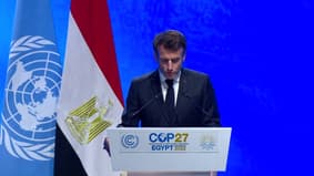 Emmanuel Macron à la COP27: "Nous ne sacrifierons pas nos engagements climatiques sous la menace énergétique de la Russie"