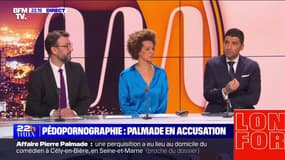 Pédopornographie : perquisition chez Palmade - 20/02