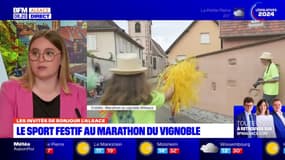 Alsace: le marathon du vignoble aura lieu ce week-end 