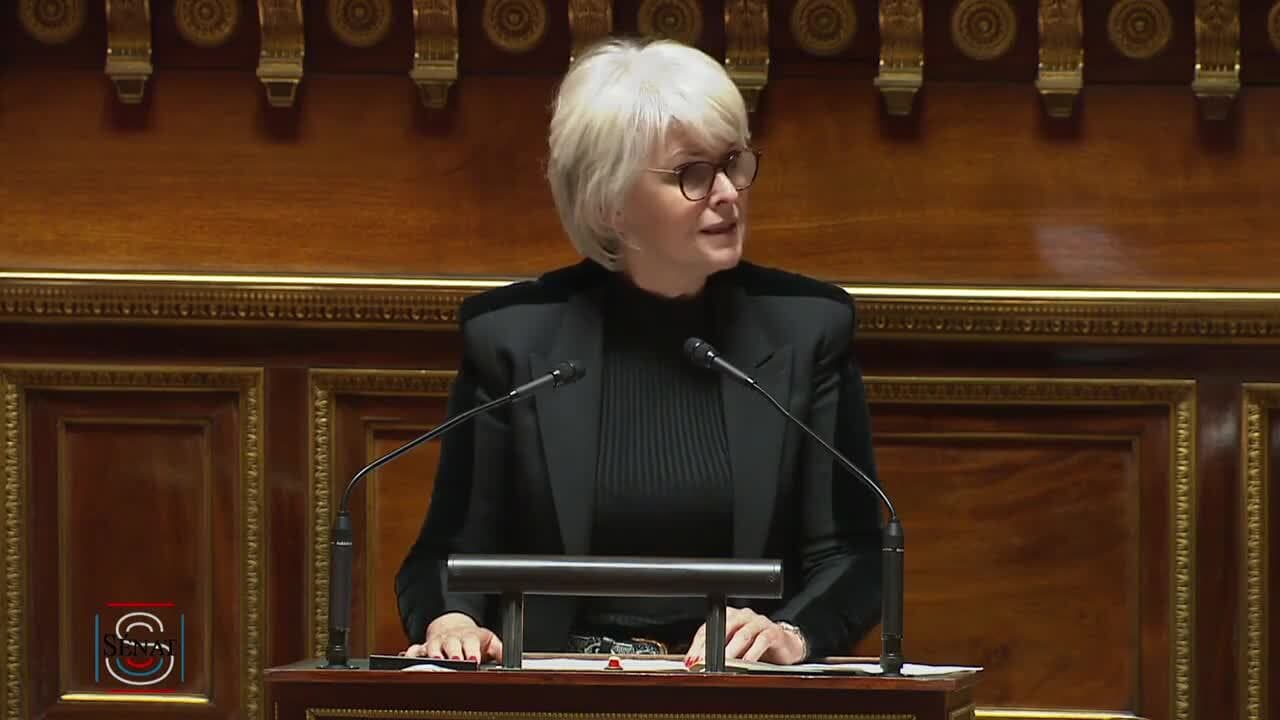 🔴 Suivez En Direct Les Questions D'actualité Au Gouvernement Au Sénat