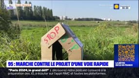 Val-d'Oise: des habitants marchent contre le projet d'une voie rapide
