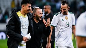 Djamel Belmadi, le sélectionneur de l'Algérie, avec Baghdad Bounedjah et Djamel Benlamri