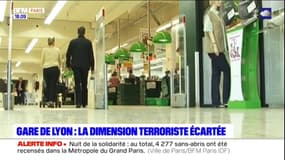 Gare de Lyon: la dimension terroriste écartée