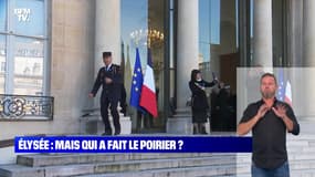 Élysée: mais qui a fait le poirier ? - 12/11