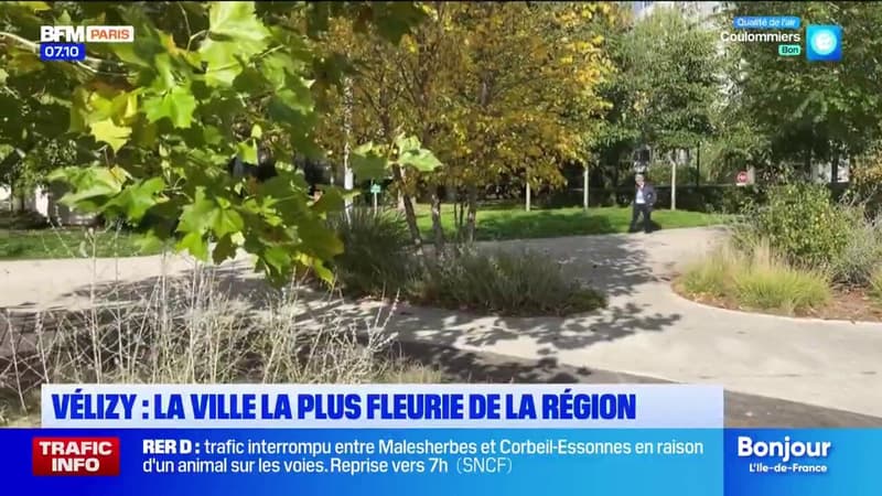 Vélizy: la ville la plus fleurie de la région (1/1)