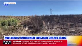 Martigues : un incendie parcourt plus de 5 hectares