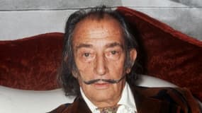 Le peintre espagnol Salvador Dali, le 13 décembre 1972 à Paris
