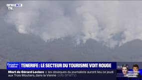 Les incendies continuent de ravager l'île de Tenerife 