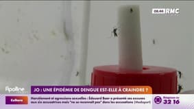 JO : une épidémie de dengue est-elle à craindre ?