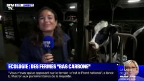 Cette ferme "bas carbone" est beaucoup plus écologique