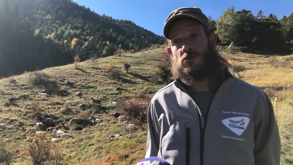 Alpes-de-haute-provence: nombreux hommages après la mort de simon merveille, agriculteur à auzet