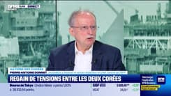 Au fond des choses : Regain de tensions entre les deux Corées - 17/06