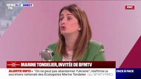 Réunion sur la guerre en Ukraine à l'Élysée: Marine Tondelier qualifie le Rassemblement national de "représentant de Poutine et de Trump"