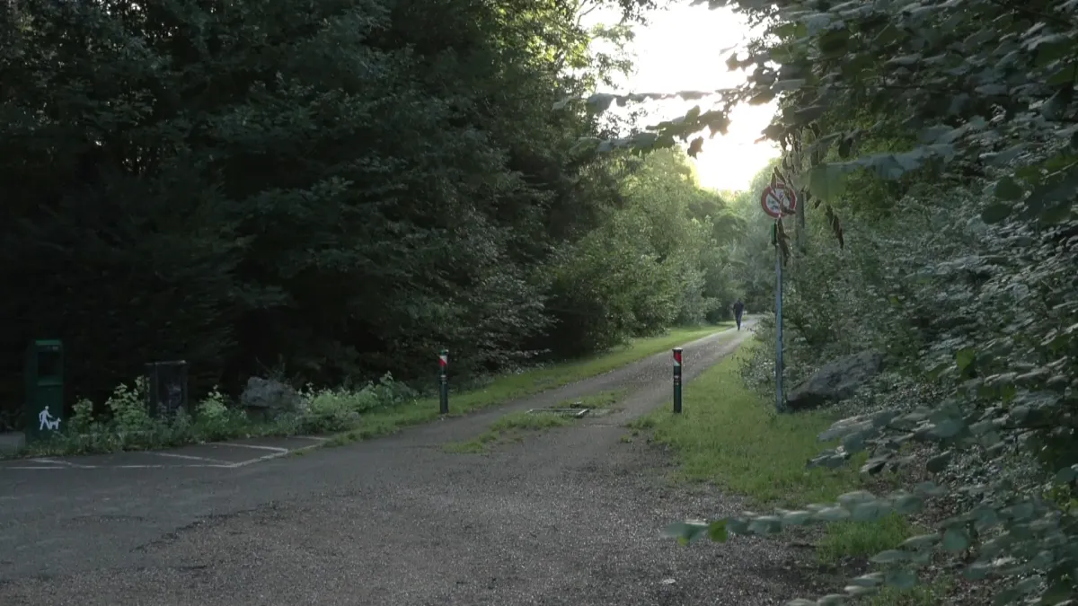 placeholder video