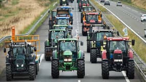Une colonne de tracteurs bloque l'autoroute A 81