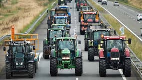 Une colonne de tracteurs bloque l'autoroute A 81