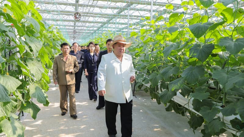 "Le régime est plus riche que jamais": il y a désormais des embouteillages en Corée du Nord et le pays exporte autre chose que des perruques... Comment l'économie de Pyongyang se redresse malgré les sanctions