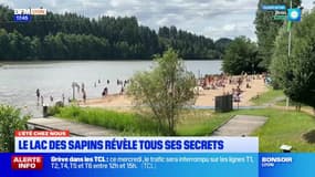 L'été chez nous: les secrets du lac des sapins