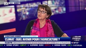 Christiane Lambert (Présidente de la FNSEA ): "Il faut produire plus dans tous les pays, dire qu'on va produire moins c'est produire de la faim dans le monde"