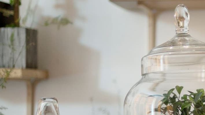 Des mini-jardins sous verre