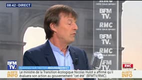 "Il y a eu une forme de naïveté, on s'est dit : 'Hulot au gouvernement, ça va être génial, tout va être réglé', c'est une vision un peu raccourcie"
