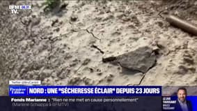 La moitié nord de la France touchée par une "sécheresse éclair" 