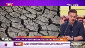 Canicule en Espagne : nos assiettes menacées ? 