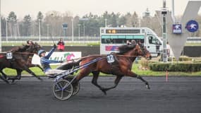 Idao de Tillard termine le Meeting d'Hiver de Vincennes invaincu