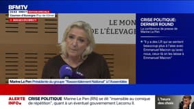 Marine Le Pen: "Ça me convient très bien" si la réforme des retraites est "suspendue"