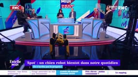 On n'arrête pas le progrès, la chronique d'Anthony Morel dans Estelle Midi