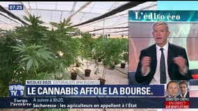 Le cannabis euphorise le marché boursier