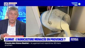 Exploitations agricoles: pour le président de la chambre d'agriculture des Bouches-du-Rhône, il n'y a "pas assez de repreneurs aujourd'hui"