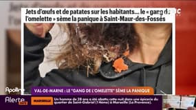 Val-de-Marne: le "Gang de l'omelette" sème la panique