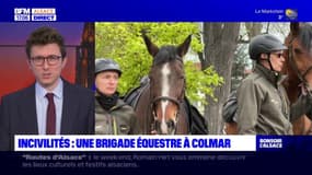 Incivilités: une brigade équestre arrive à Colmar