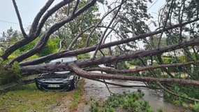 Tempête Ciaran dans le Pas-de-Calais