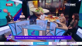 Pénurie de main d'œuvre : l'immigration est-elle la solution ?