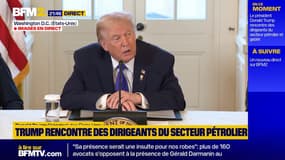 "C'était une agitatrice, une agitatrice de très haut niveau": Donald Trump réagit à la mort d'une femme tuée par la police