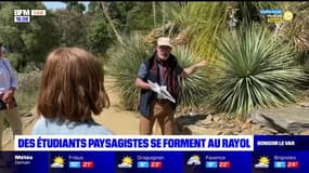 Var: des étudiants paysagistes se forment au domaine du Rayol