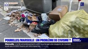 Poubelles à Marseille: un manque de civisme?