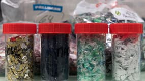 Des échantillons de plastique recyclable dans les laboratoires de Carbios.