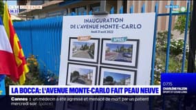 Cannes La Bocca: l'avenue Monte-Carlo fait peau neuve