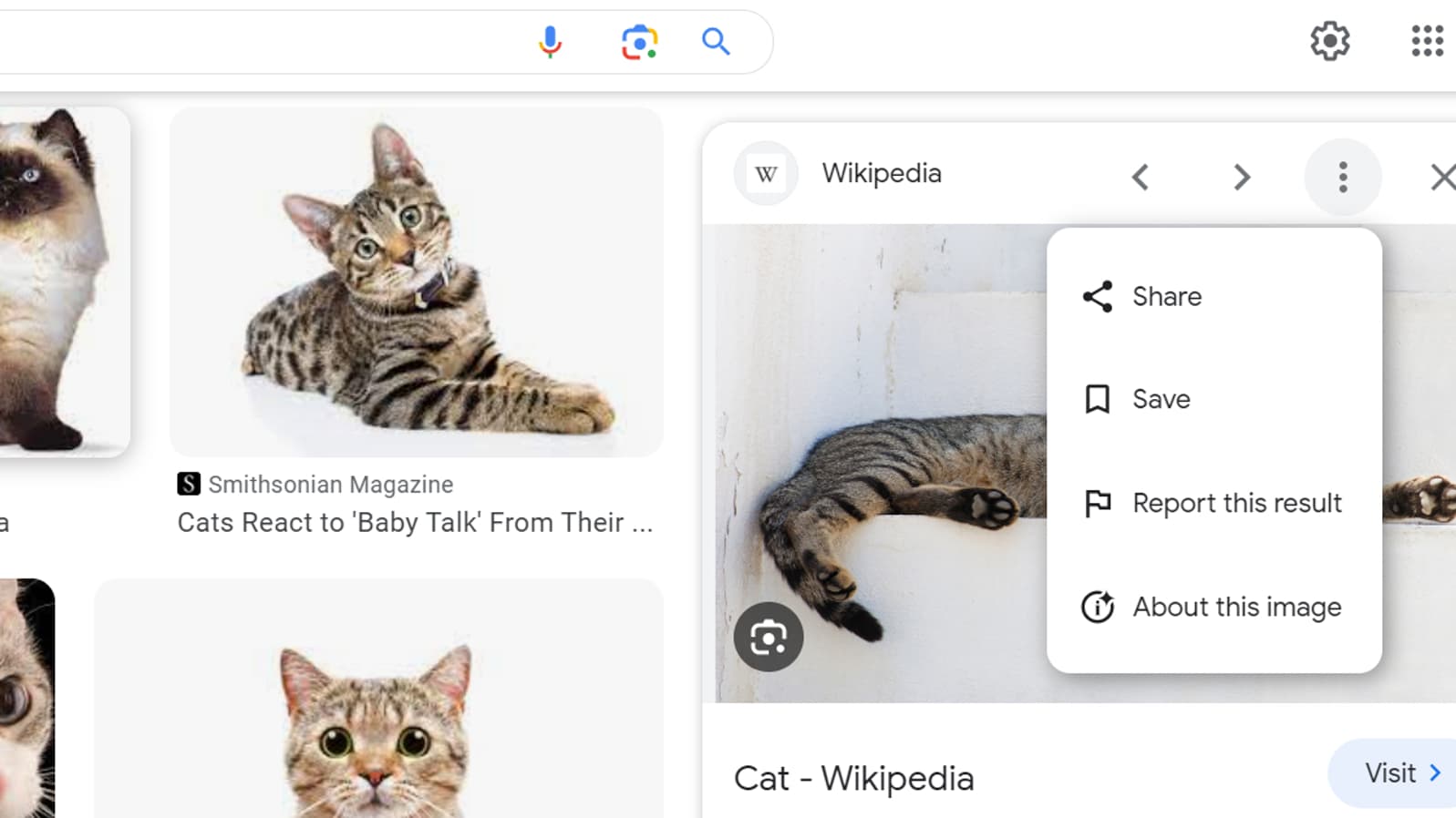 Capture d'écran d'une recherche d'image Google
