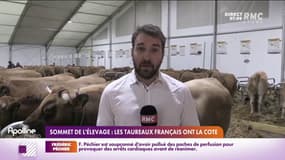 On connaît tous le salon de l'Agriculture, on connaît un peu moins le Sommet de l'élevage