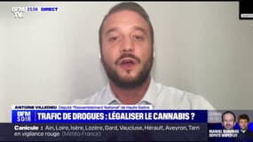 Légalisation du cannabis: "Il est utopique de penser qu'en asséchant l'économie du cannabis, les trafiquants vont devenir des marchands de pommes et d'oranges", pour Antoine Villedieu (RN)