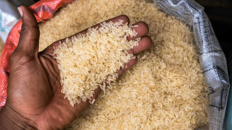 À +31% sur un an, le prix du riz est au plus haut depuis 15 ans
