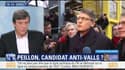 Primaire de la gauche: Vincent Peillon est-il un candidat anti-Valls ?